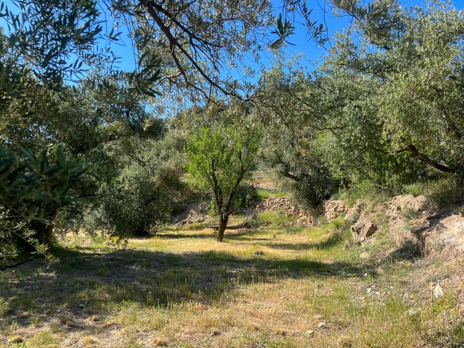 Casa de campo con amplio terreno en Lanjarón