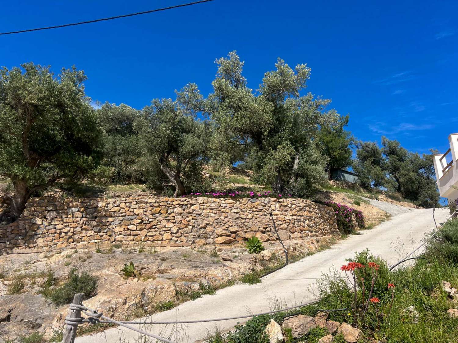 Casa de campo con amplio terreno en Lanjarón