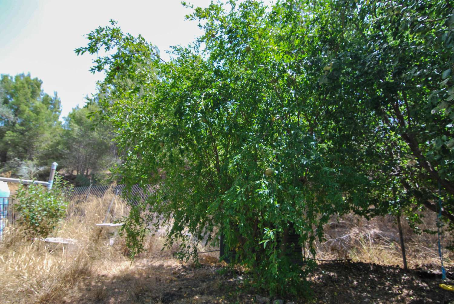 Spectaculaire maison de campagne à vendre à Motril