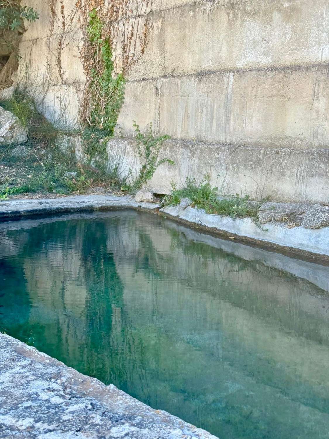 Casa con parcela en venta en Guájar Alto