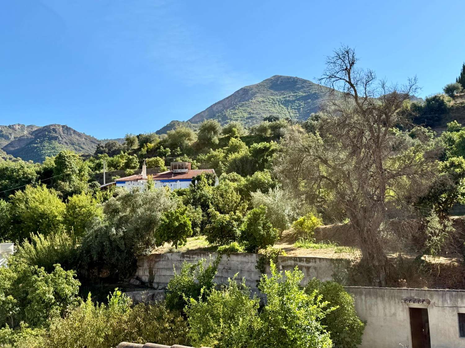 Casa con parcela en venta en Guájar Alto