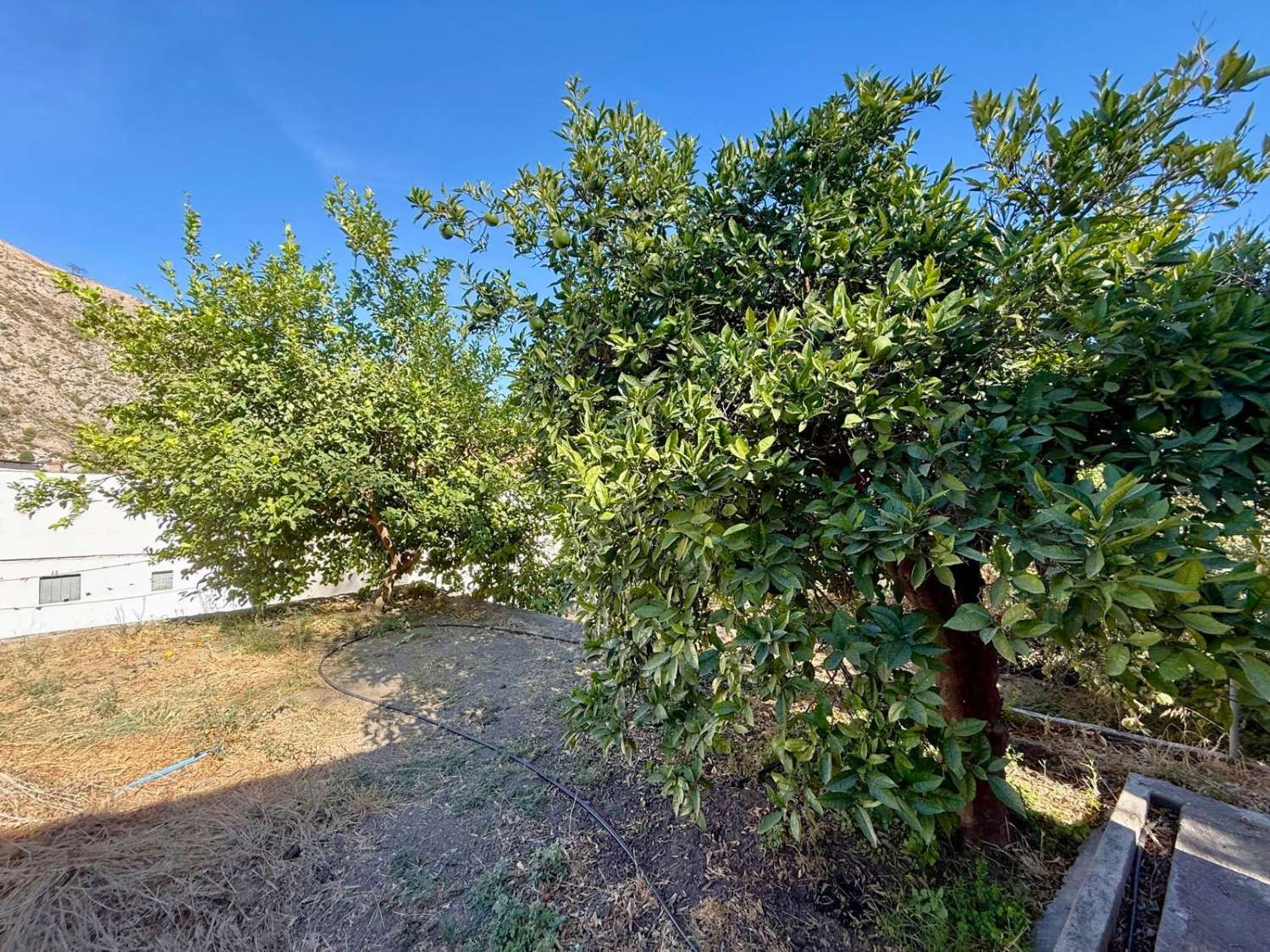 Casa con parcela en venta en Guájar Alto