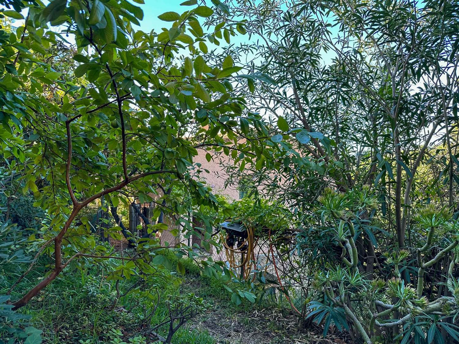 Geräumiges und helles Einfamilienhaus mit Meerblick