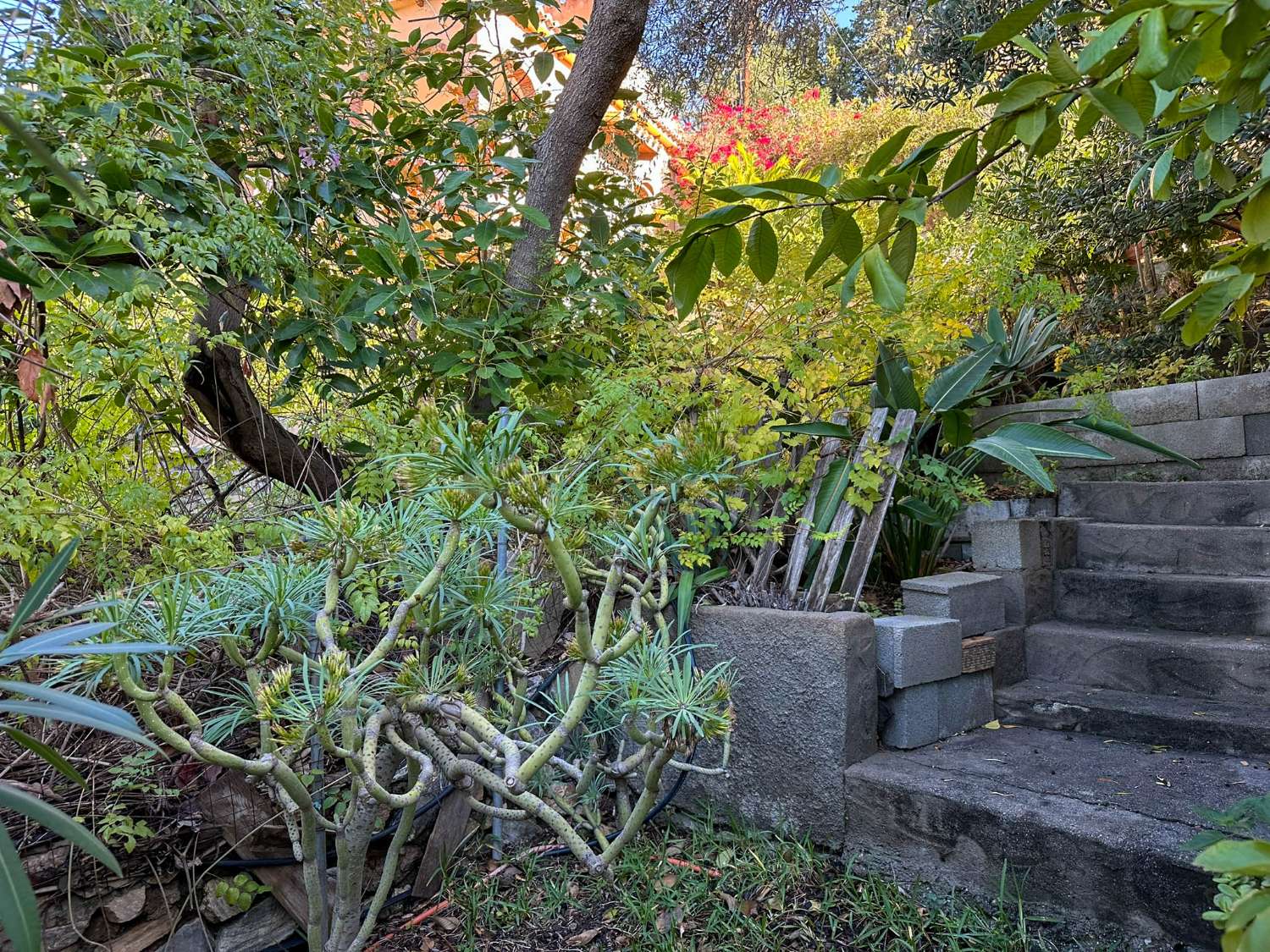 Geräumiges und helles Einfamilienhaus mit Meerblick