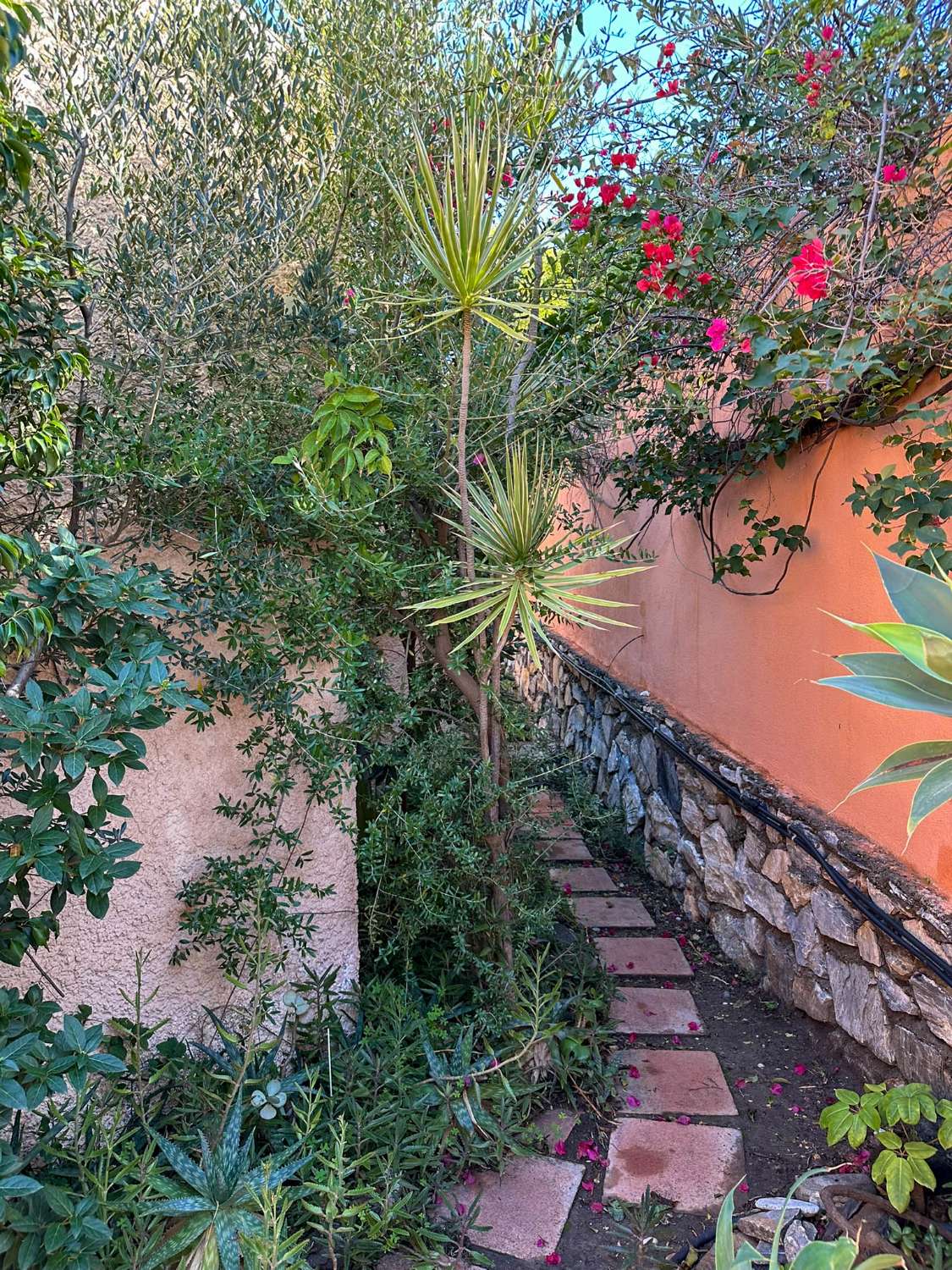 Geräumiges und helles Einfamilienhaus mit Meerblick