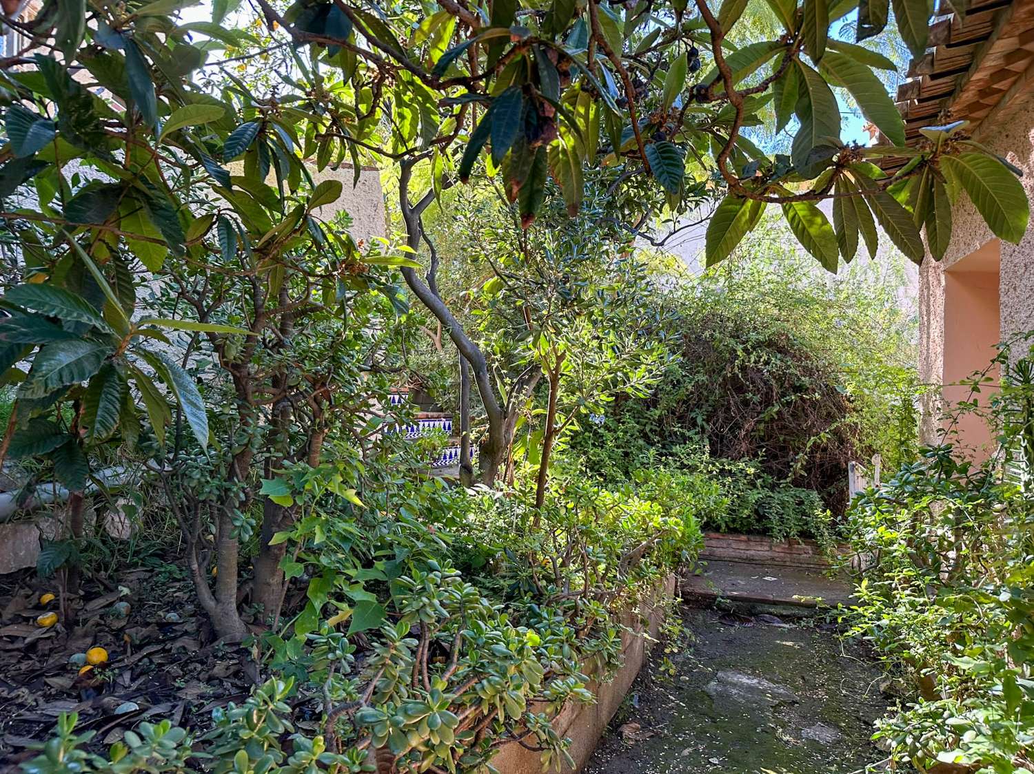 Geräumiges und helles Einfamilienhaus mit Meerblick