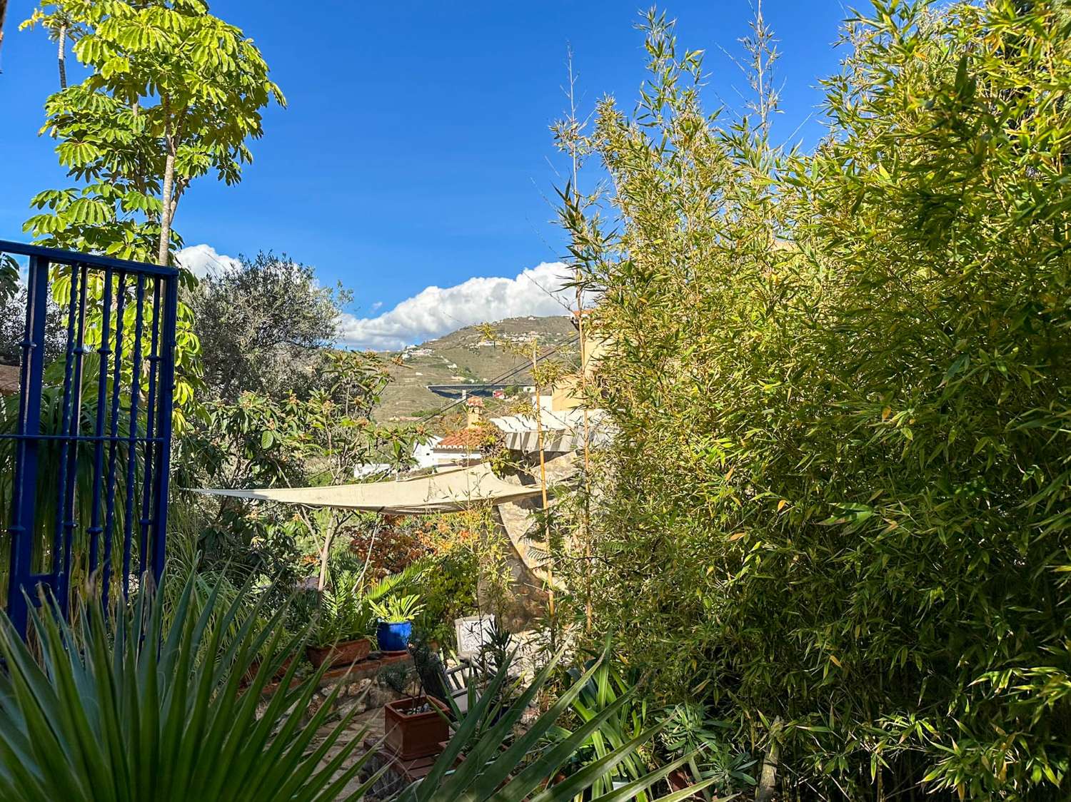 Geräumiges und helles Einfamilienhaus mit Meerblick
