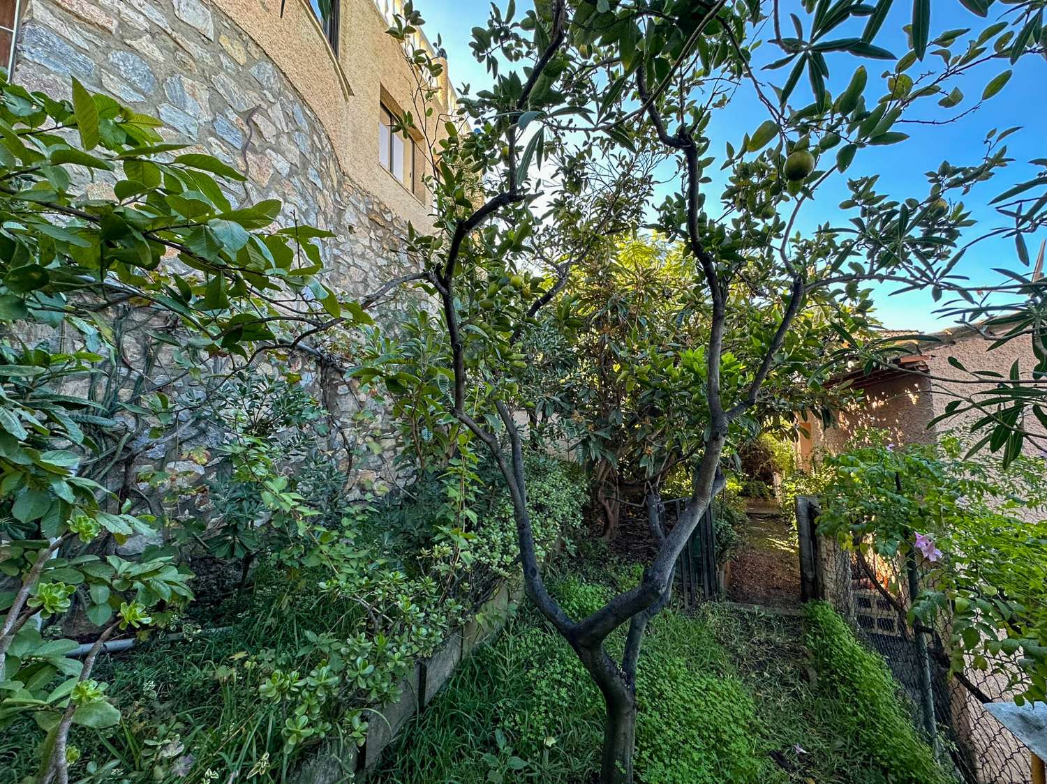 Geräumiges und helles Einfamilienhaus mit Meerblick