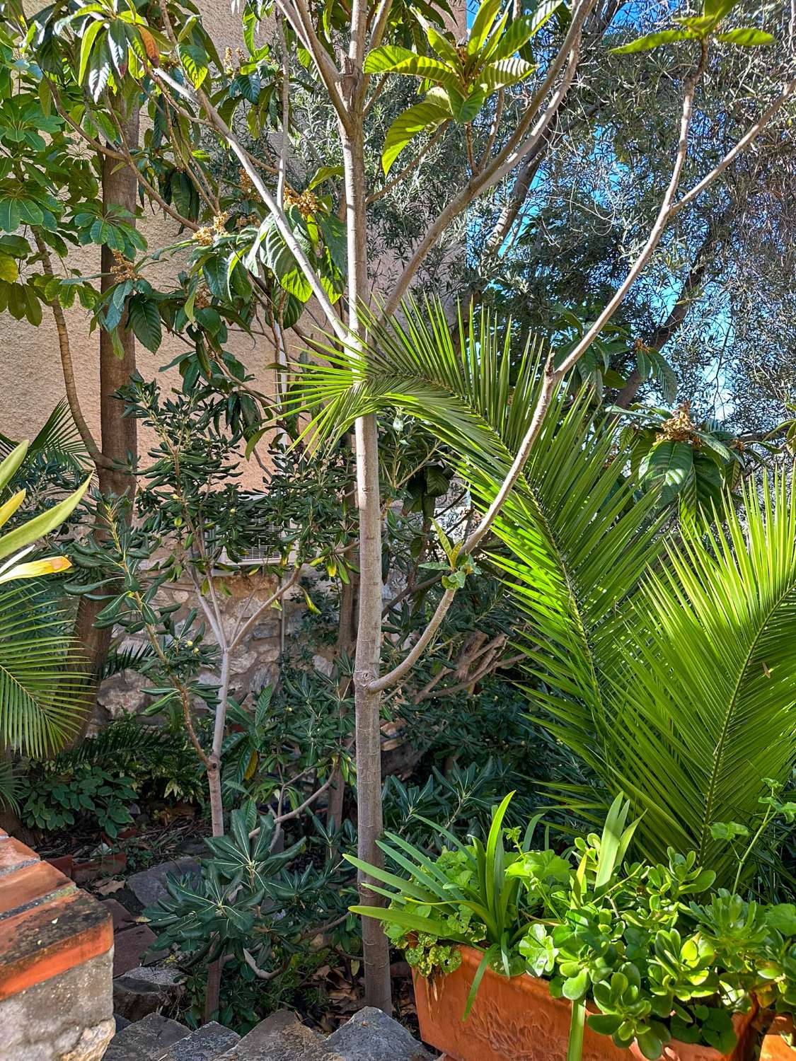 Geräumiges und helles Einfamilienhaus mit Meerblick