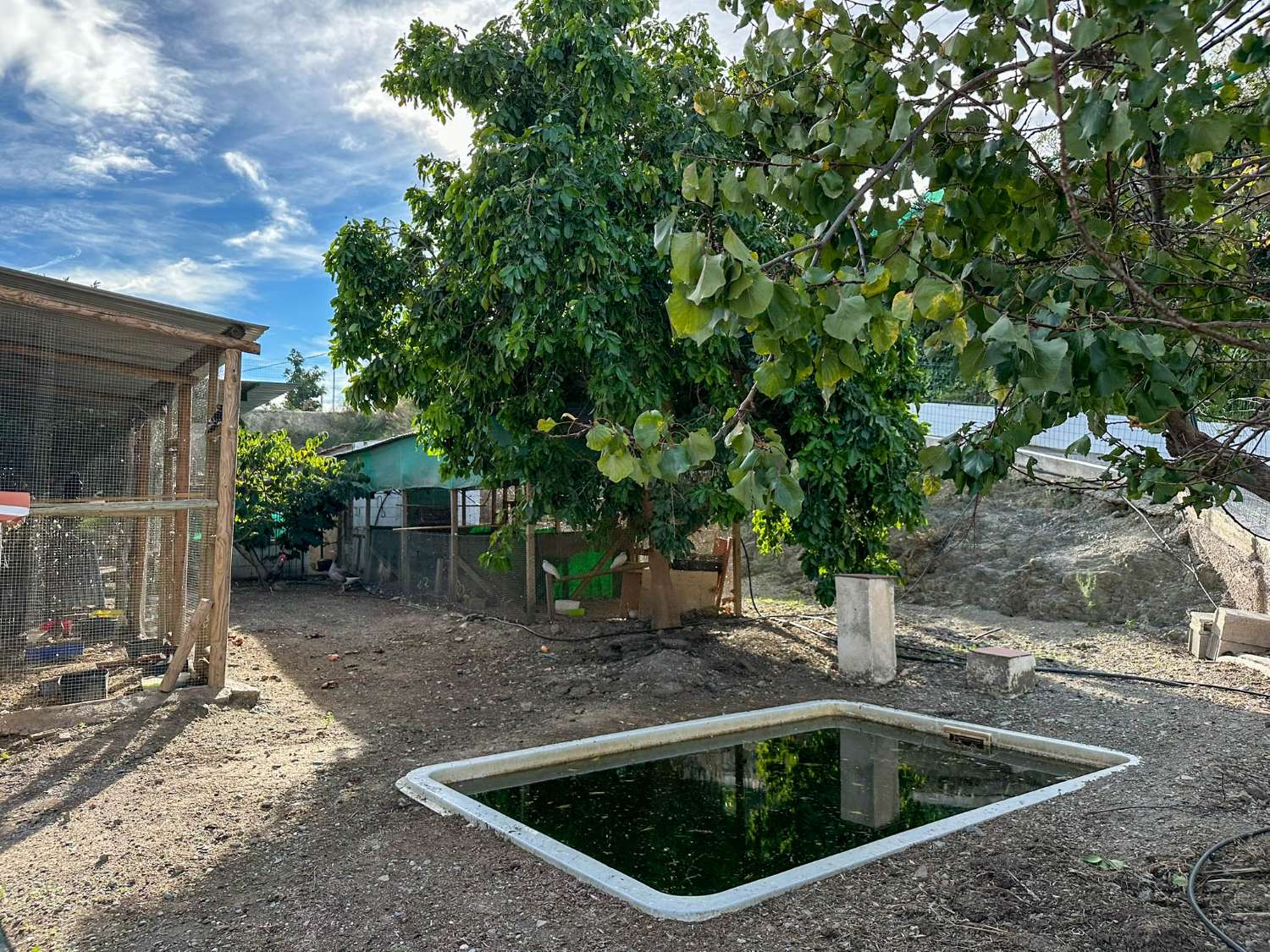 Cortijo con amplio terreno en venta en Salobreña
