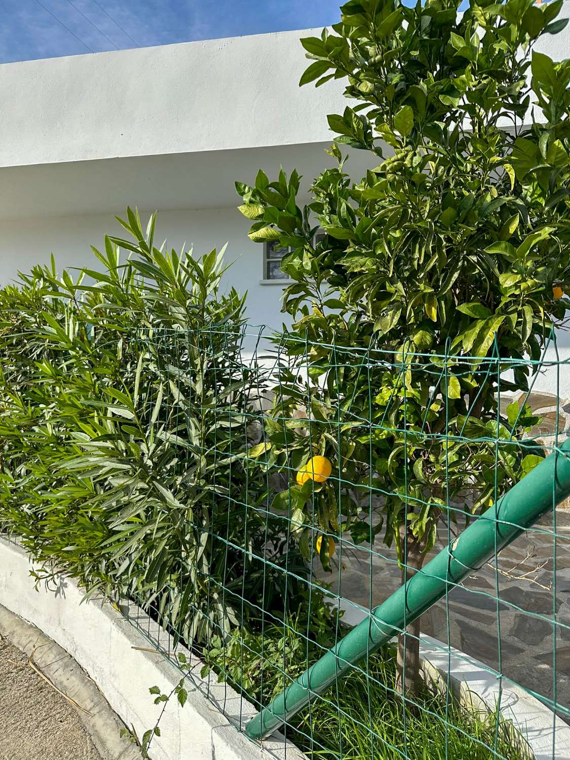 Cortijo con amplio terreno en venta en Salobreña