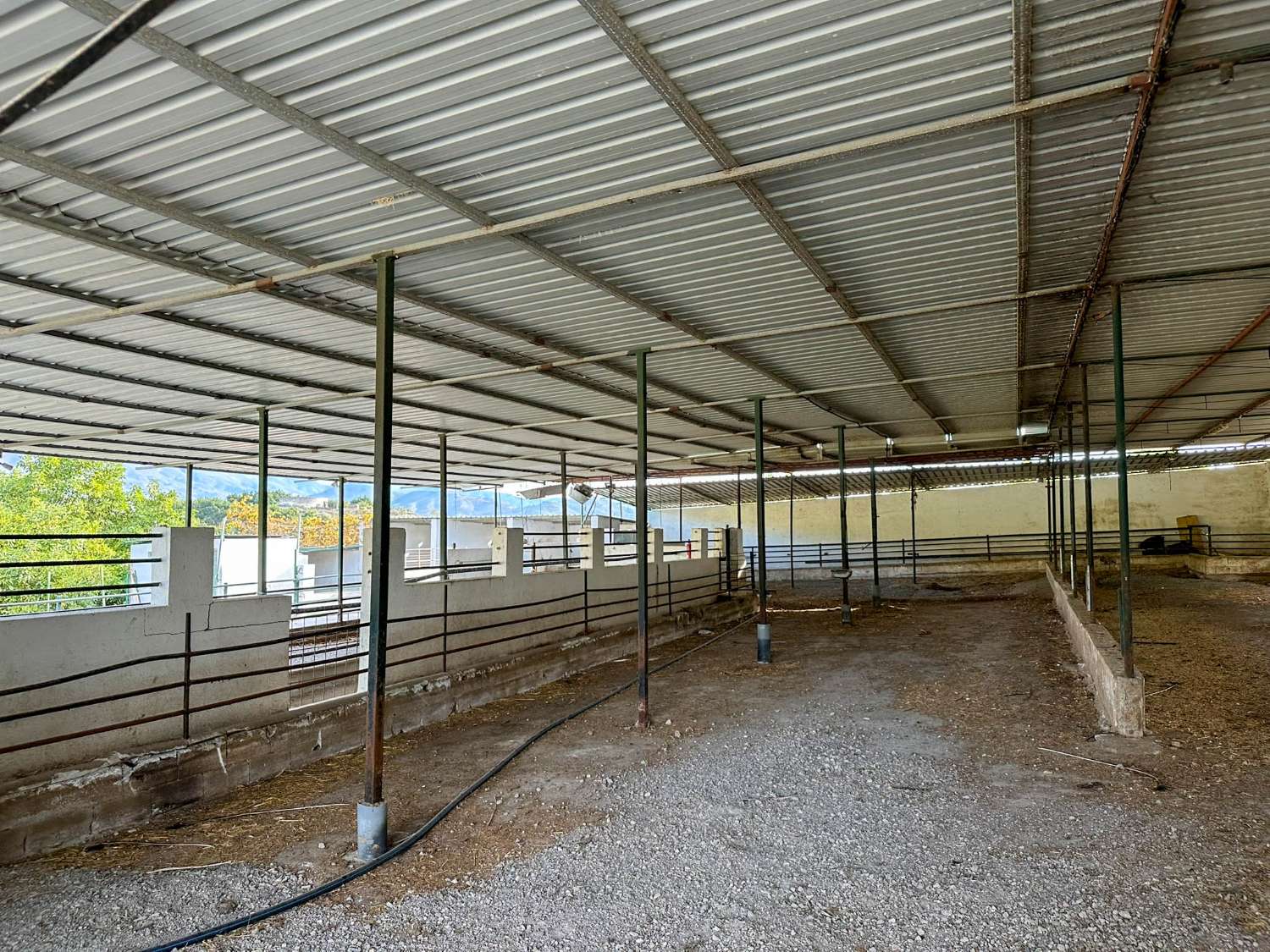 Cortijo con amplio terreno en venta en Salobreña