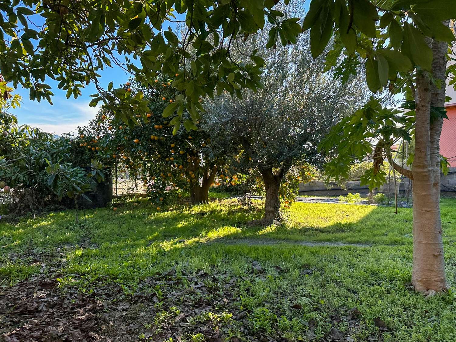 屋 出售 在 Monte los Almendros - El Pargo - Costa Aguilera (Salobreña)