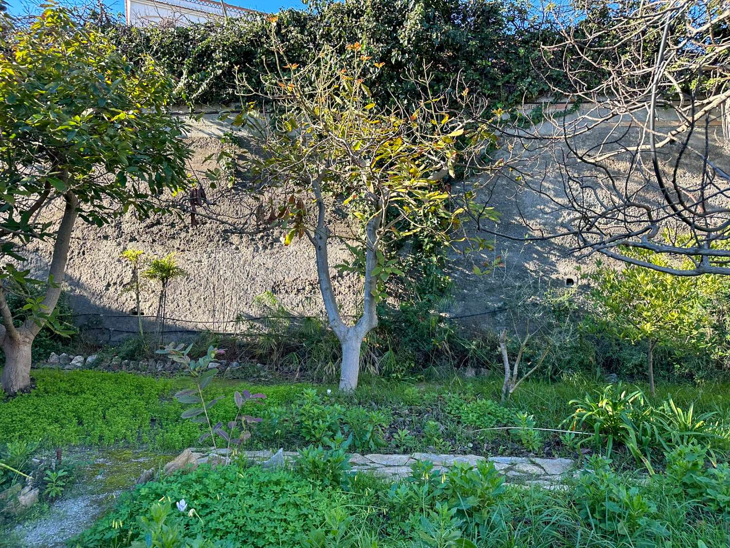 屋 出售 在 Monte los Almendros - El Pargo - Costa Aguilera (Salobreña)