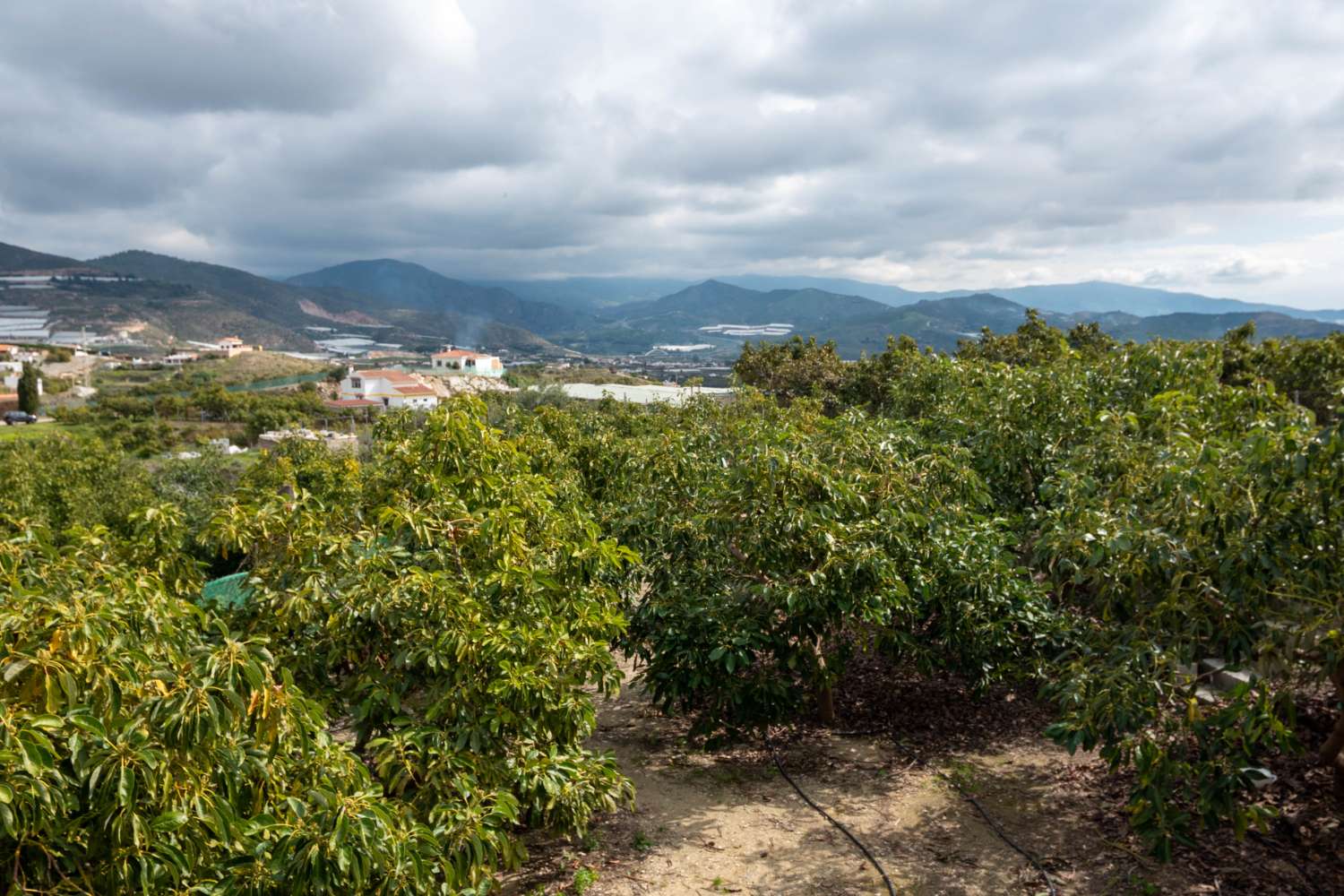 Bonito cortijo en venta en Matagallares, Salobreña