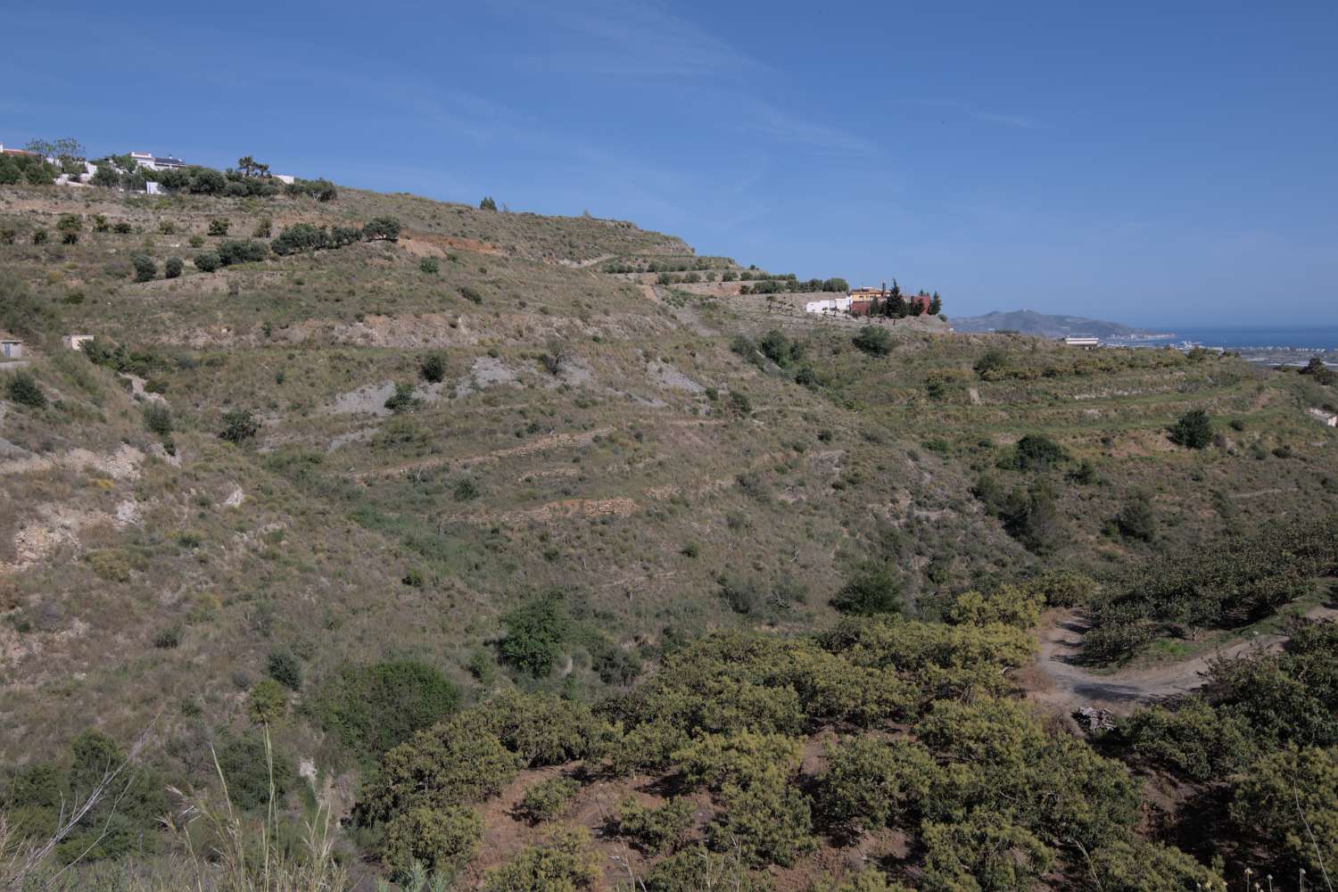 Grundstück zu verkaufen in Matagallares